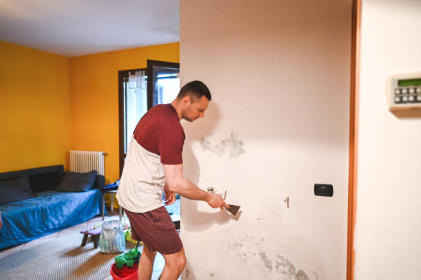 Office Mold Removal Services in Medford, MN
